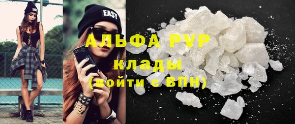 PSILOCYBIN Вяземский
